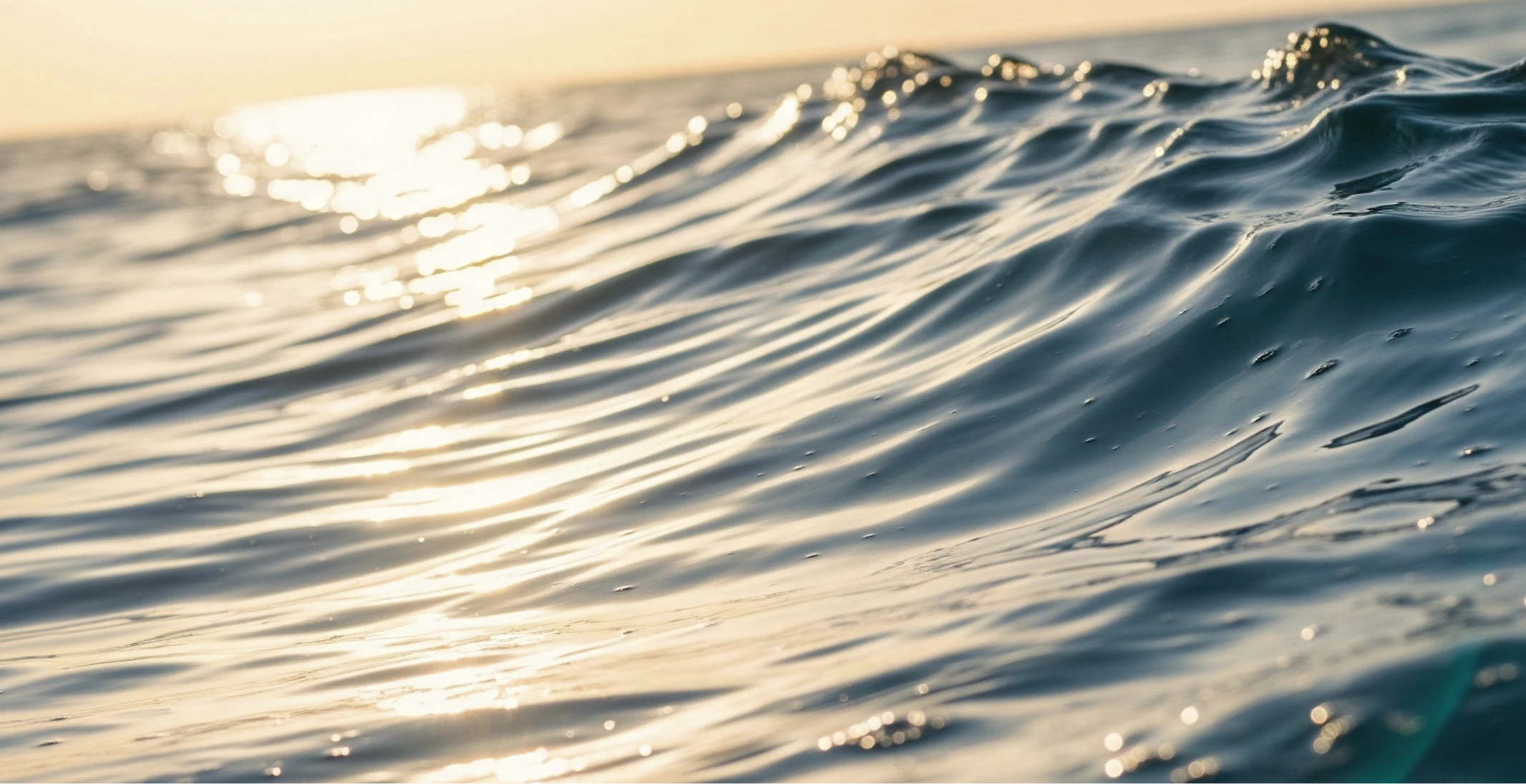 el_faro_resort_brand_identity_sea